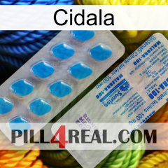 Cidala new15